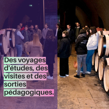 des voyeges d'études, visites d'entreprises