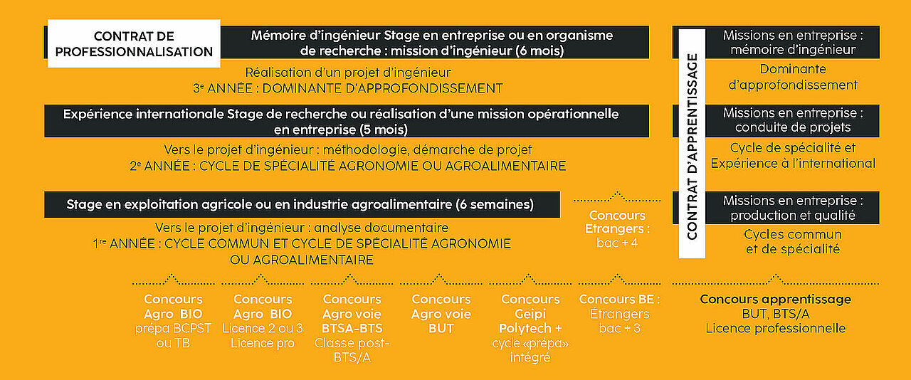 Cursus de l'Ingénieur Institut Agro Dijon