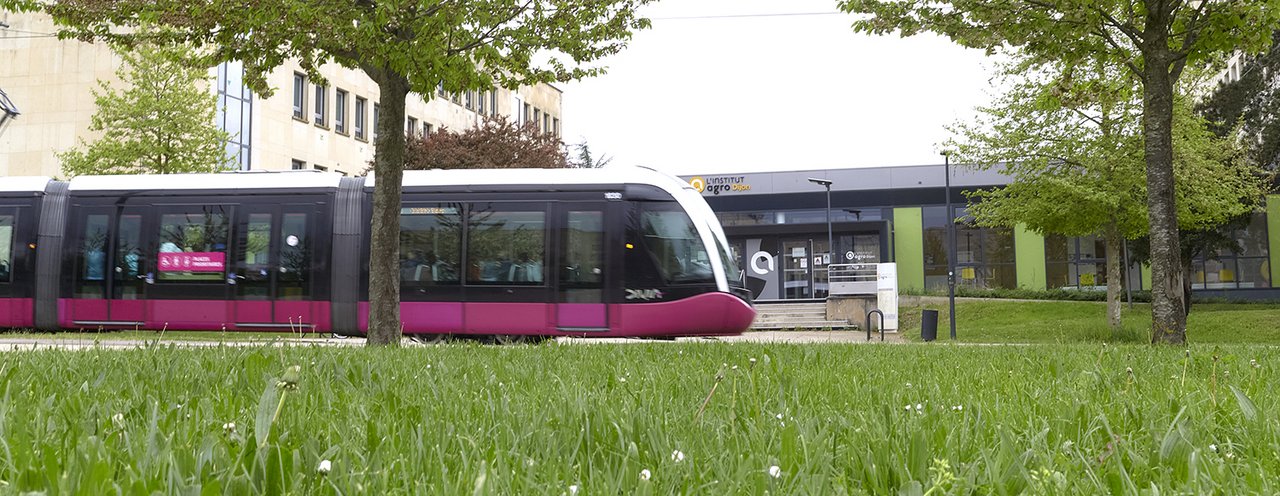 tram