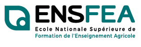 logo ENSFEA