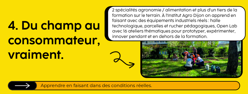 4. Apprendre en faisant dans des conditions réelles.