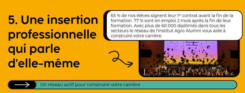 5. Une insertion professionnelle qui parle d'elle-même